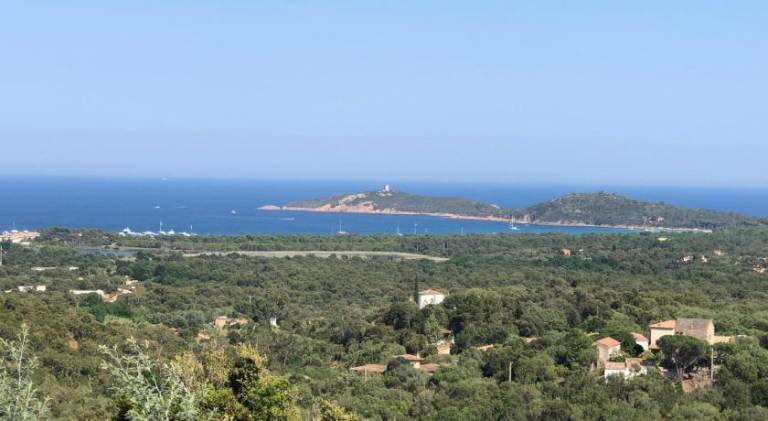 Villa with pool in Zonza