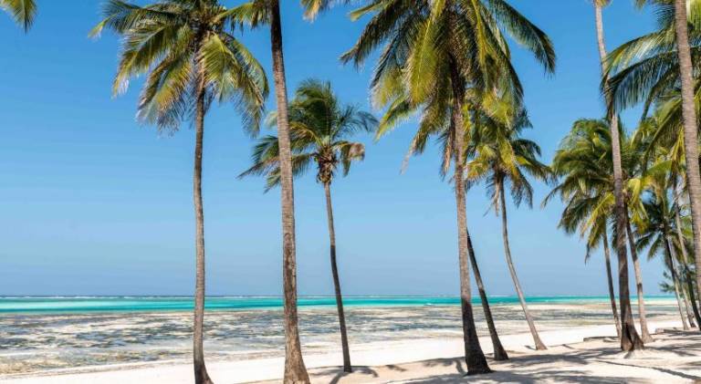 Paje Beach Front villa by Liv Zanzibar — photo 5