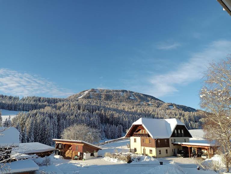Bauernhof Lambach