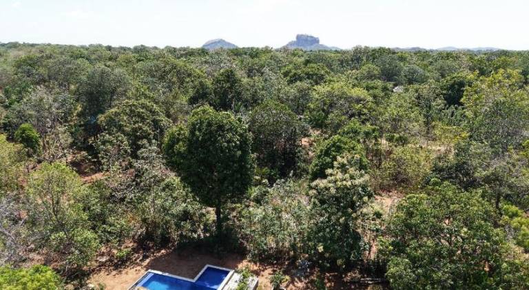 Sigiri Mango Garden Eco Resort — photo 3