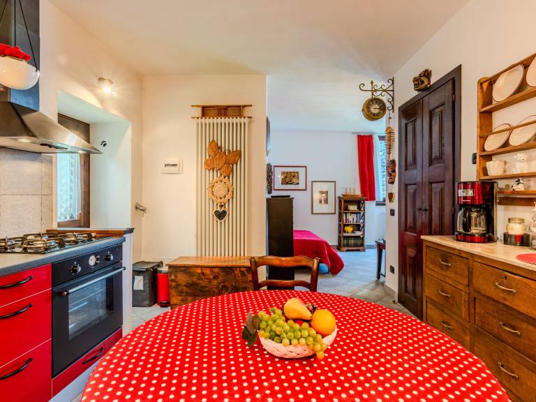 Nice holiday apartment with garden | Pets are welcome — photo 3