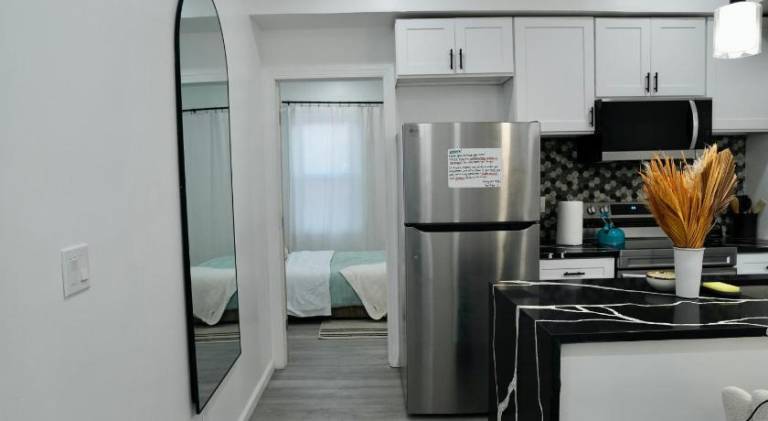 Prime Oasis, 1 mi to Temple U, Washer and Dryer, Free Snacks — photo 3