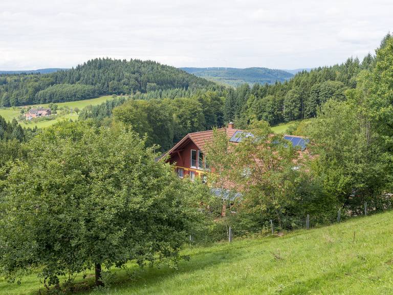 Ferienwohnung  Freiamt