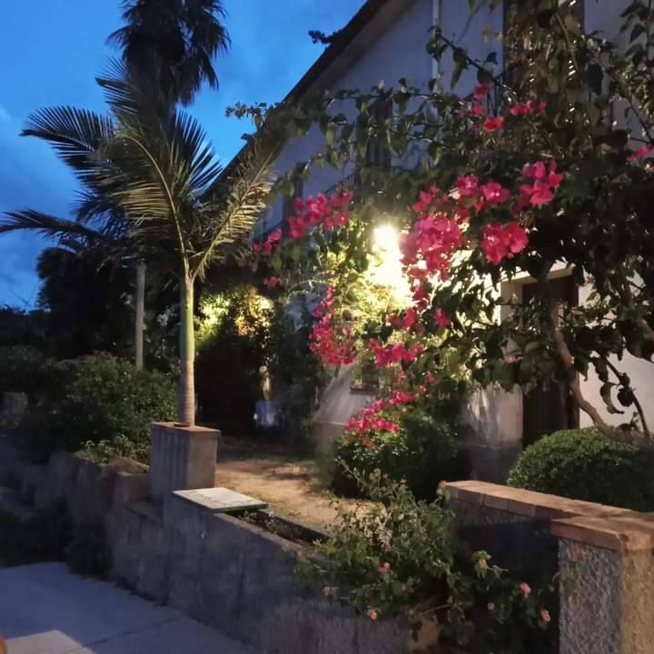 foto40