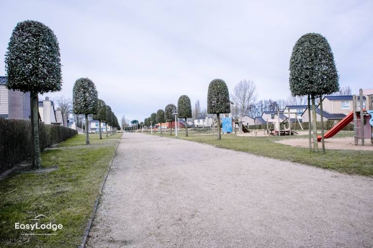 foto3