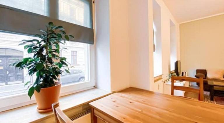 Holiday apartment | Pets are welcome — photo 5