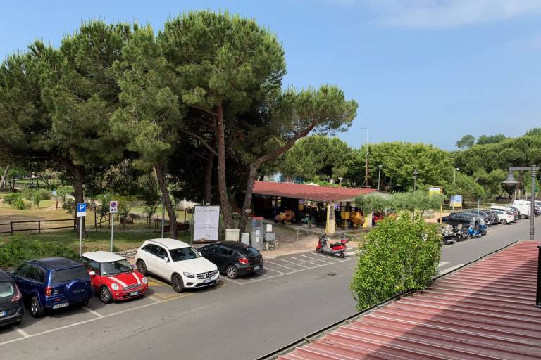 Holiday apartment with 1 room for 3 persons — photo 3