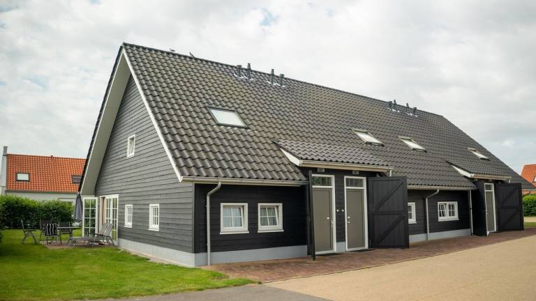 Ferienhaus mit Hund in Nieuwvliet, Holland Nordsee, Holland