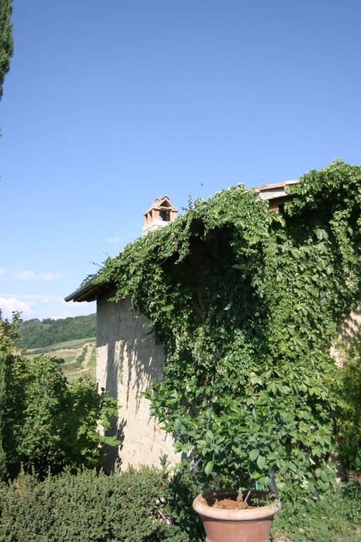 foto18
