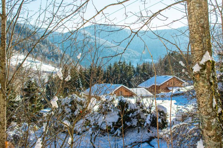 Chalet Ventron