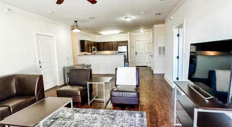 Rental apartment | Suitable for remote work in Newark, DE