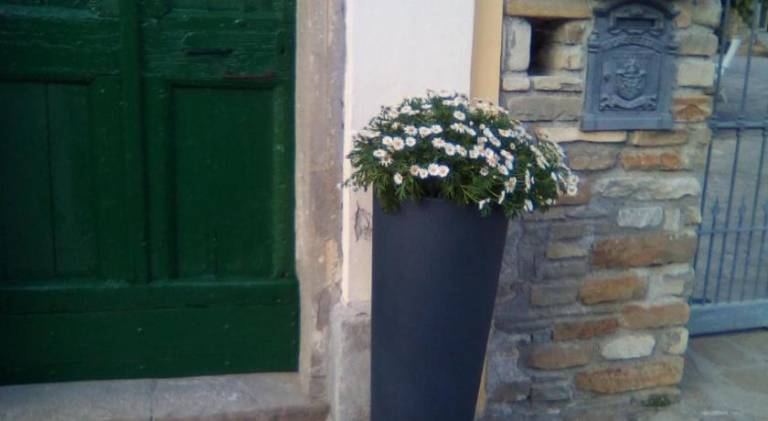 foto31