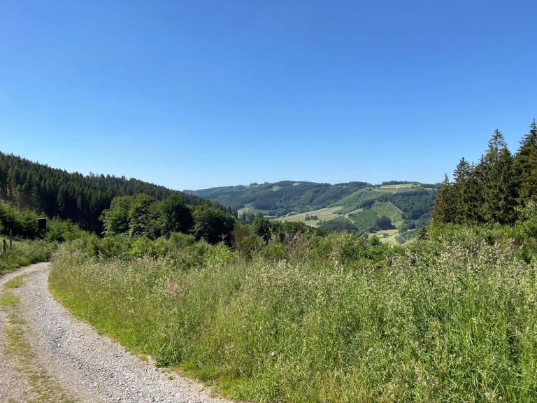 foto15