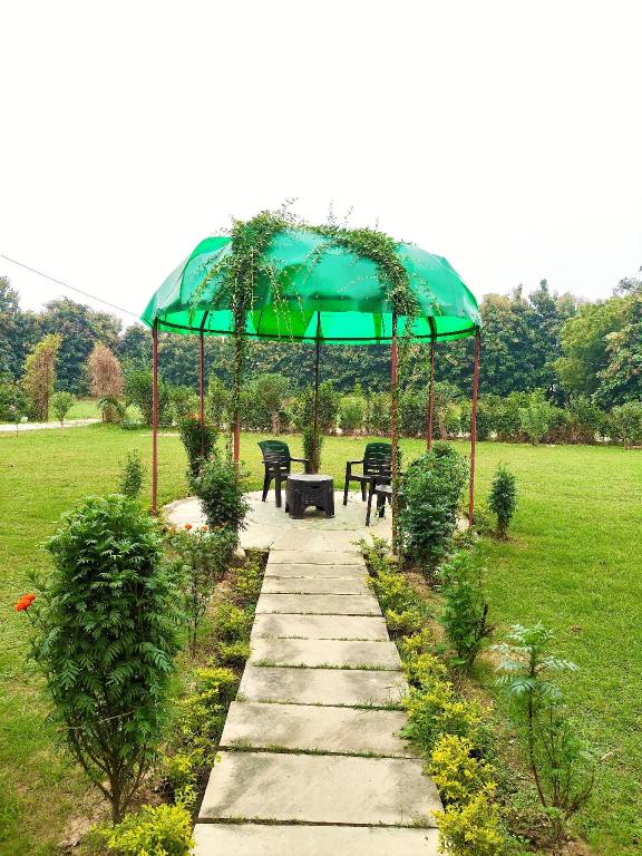 House  Buddha Nagar Colony