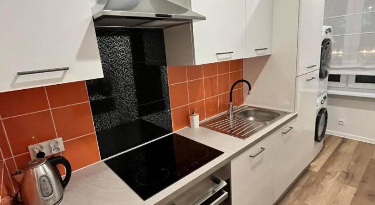 Apartment | Pet-friendly — photo 4