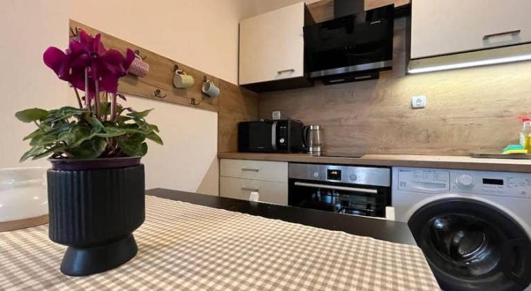 Holiday apartment with 1 room for 2 persons — photo 2