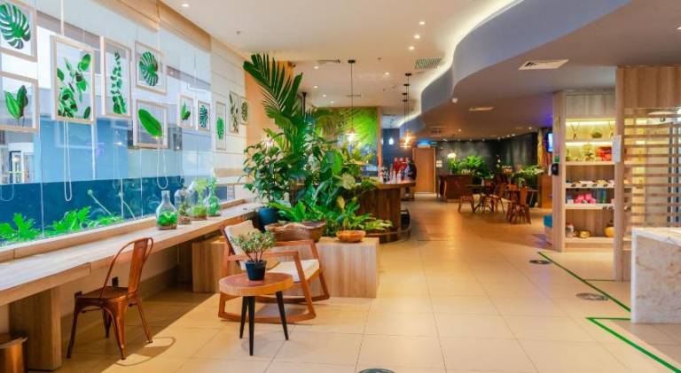 Ibis Styles Curitiba Airport Hotel — photo 3