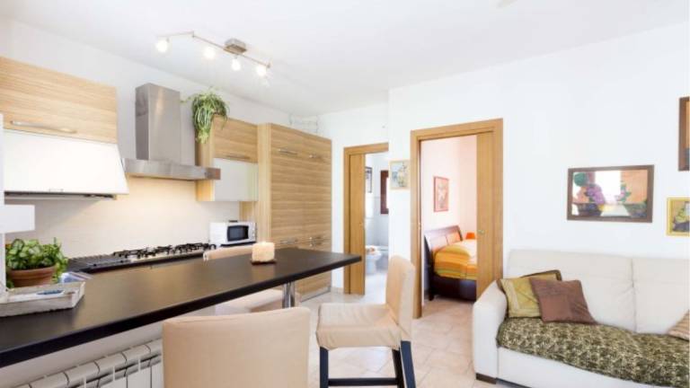 New two room Giulia just outside the village of Marina di Campo — photo 3
