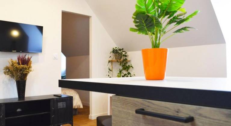 Rental apartment with jacuzzi | Pet-friendly — photo 2
