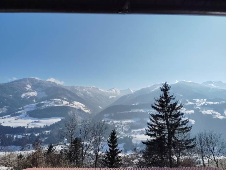 foto4