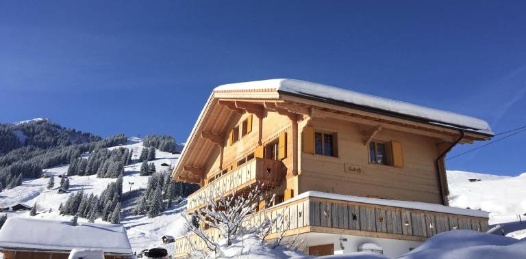 Appartement Adelboden