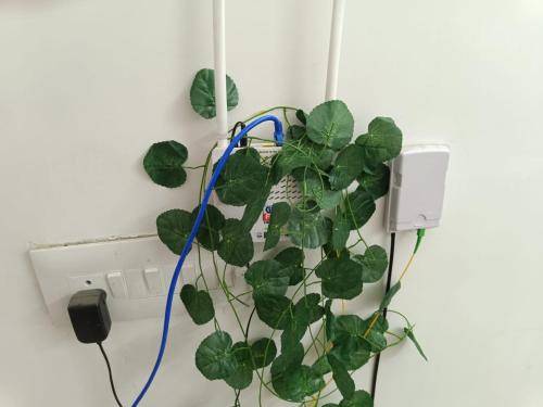 foto5