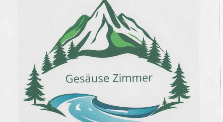 Gesause-Zimmer in Leoben