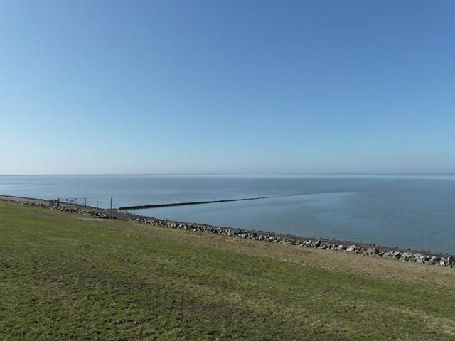 foto15
