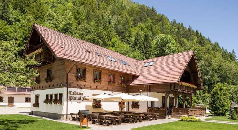 Lodge with patio & yard in Brasov