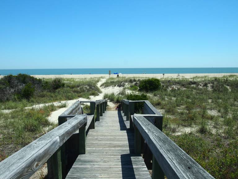 House Tybee Island