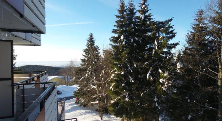 foto14