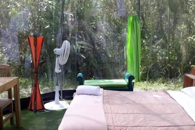 foto19