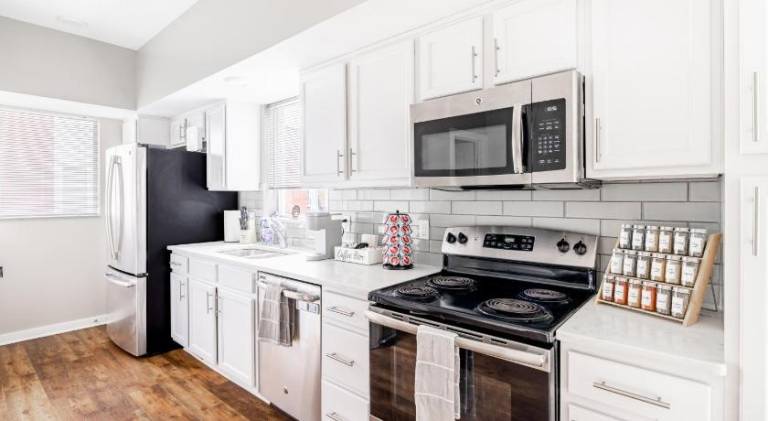 House | Suitable for remote work | Pets are welcome in Cleveland, OH