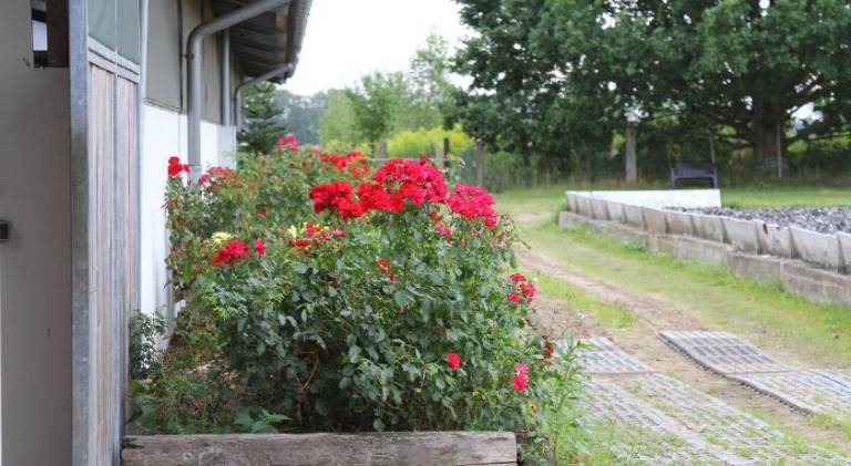 foto17