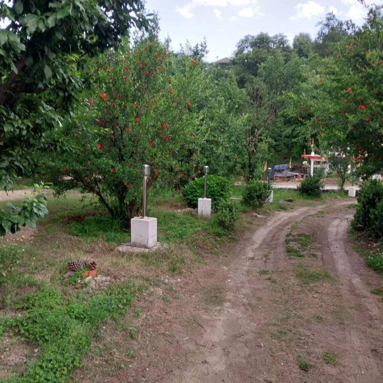 foto44