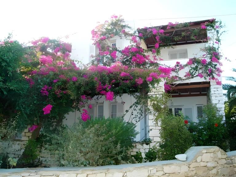 Apartment with patio & yard | Pets are welcome in Paro