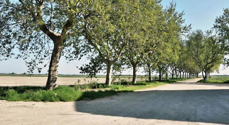 Rental apartment | Pet-friendly in Arles