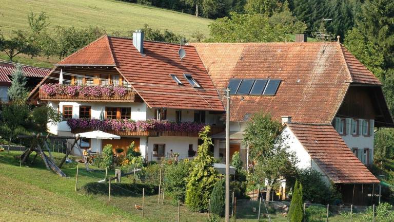 Ferienwohnung  Schuttertal