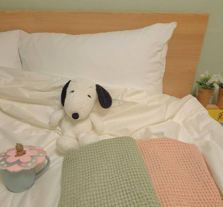 foto33