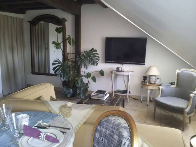 Sch&ouml;ner romantischer Blick auf die Seine