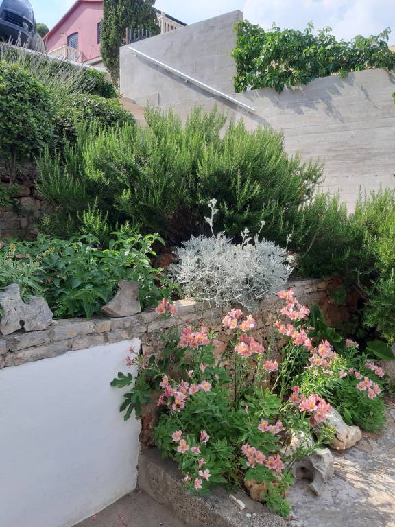 foto32