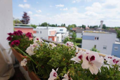 Bed and breakfast Pasing-Obermenzing