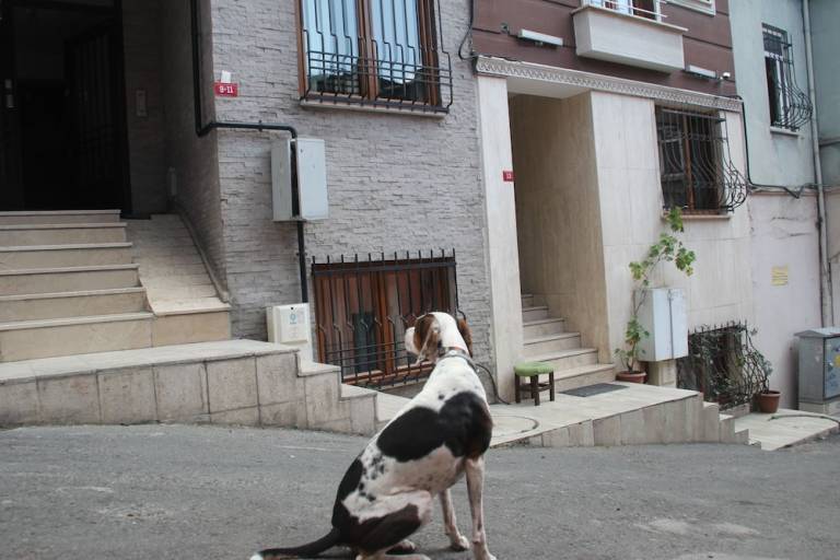 Appart'hôtel  Istanbul