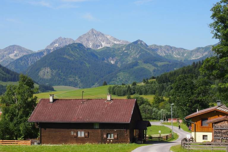 Ferienhaus mit Hund in Gemeinde Grän,  f&uuml;r max. 2 Personen