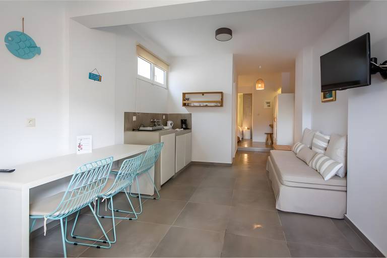Studio Apartment 'Semi Basement -Superior Apartment' with Mountain View and Air Conditioning in Andros