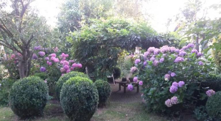 foto15