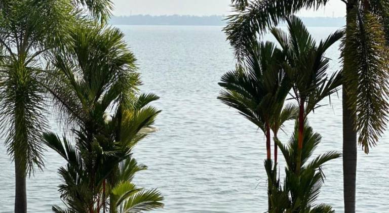 foto12