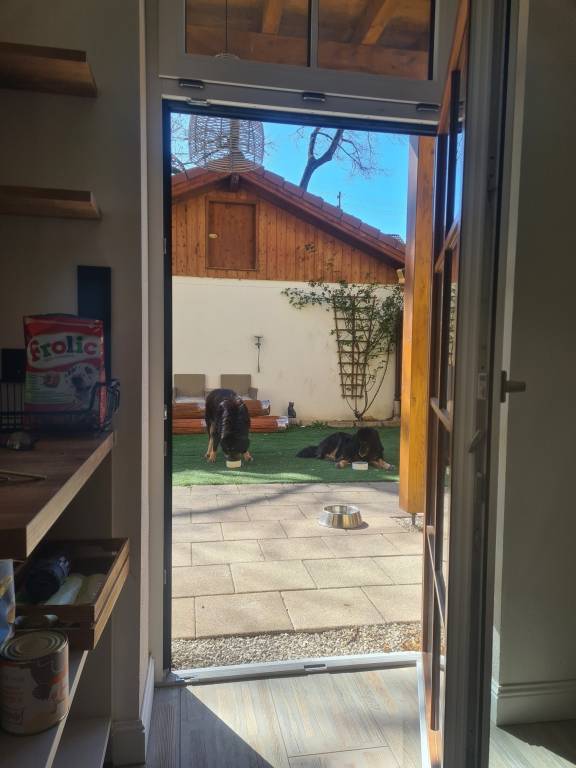 foto32