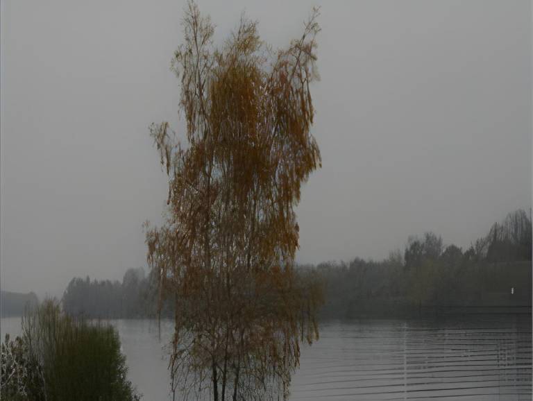 foto19