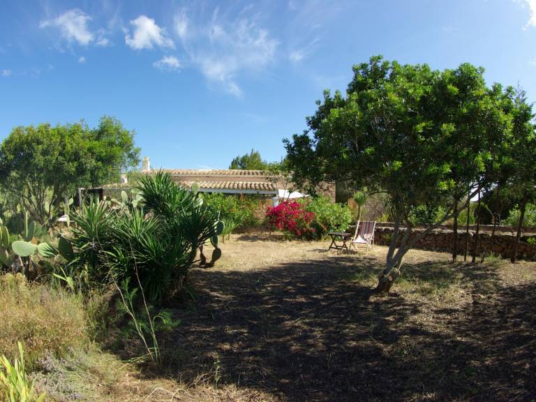 foto11